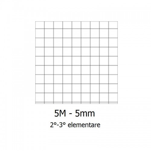 Quadernoni Quadretti 5mm con margine 0Q 2-3 elementare Confezione pz.10